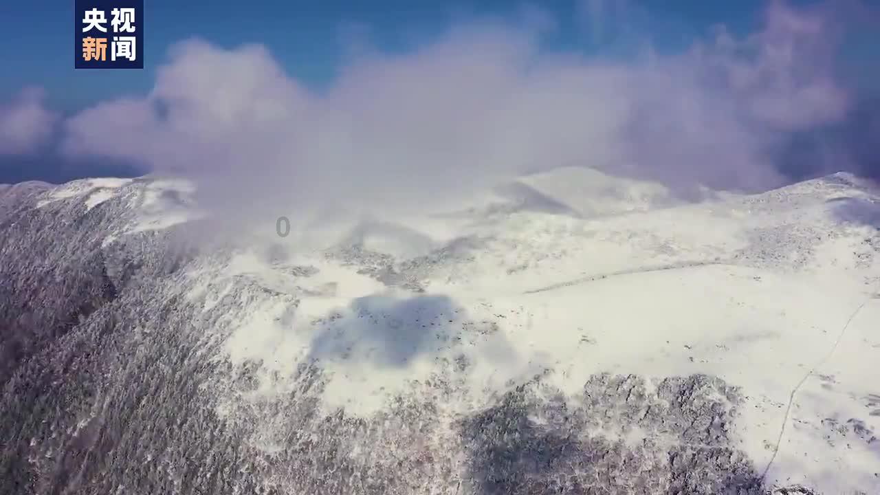建协的焊工证书全国通用吗游戏画面